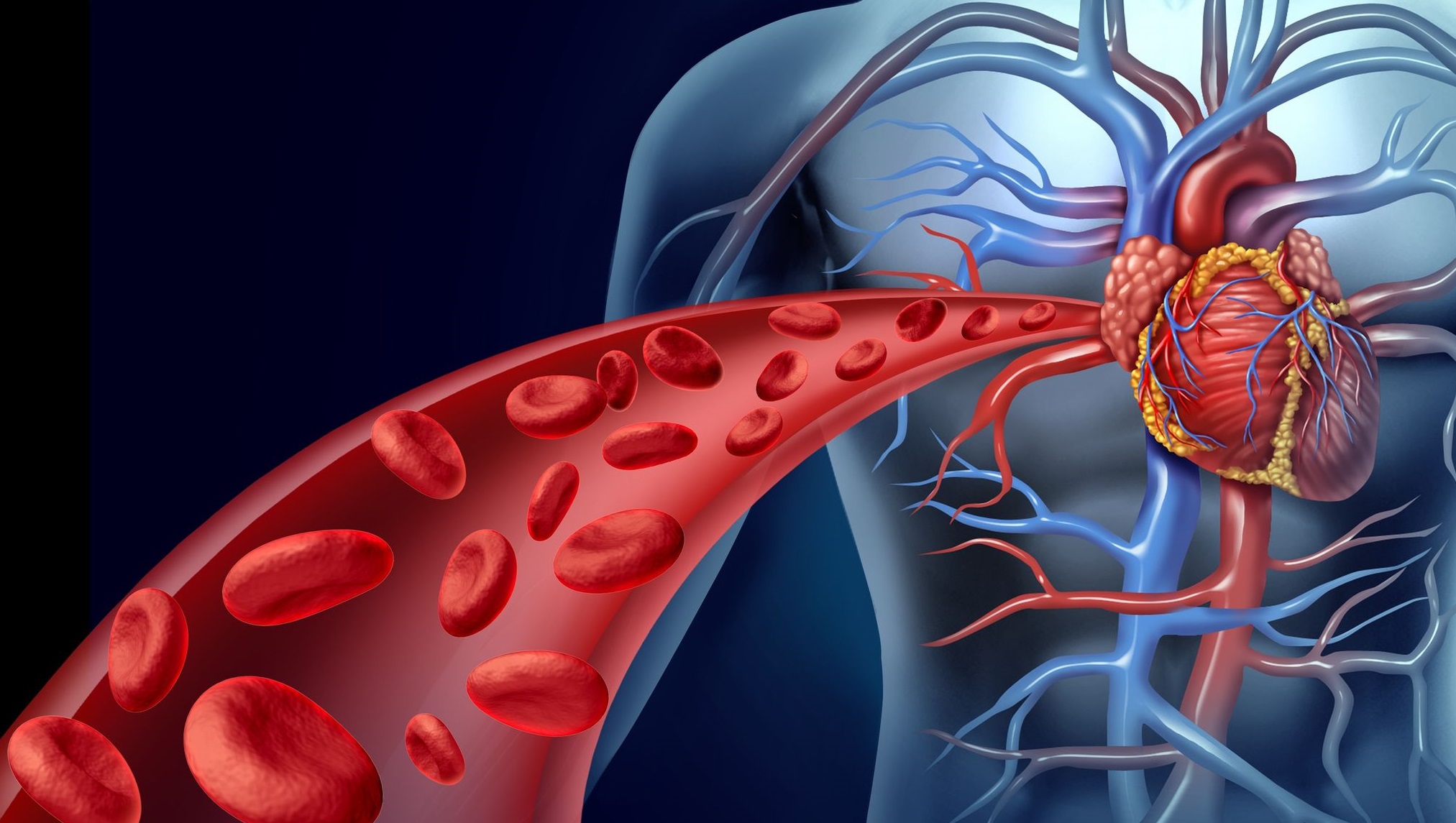 Resultado de imagen de Cardiovascular Disease