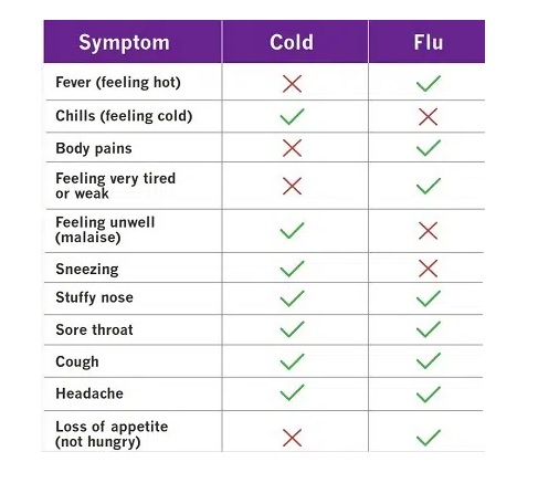 Coughs, Colds and Flu - Articles | Dis-Chem